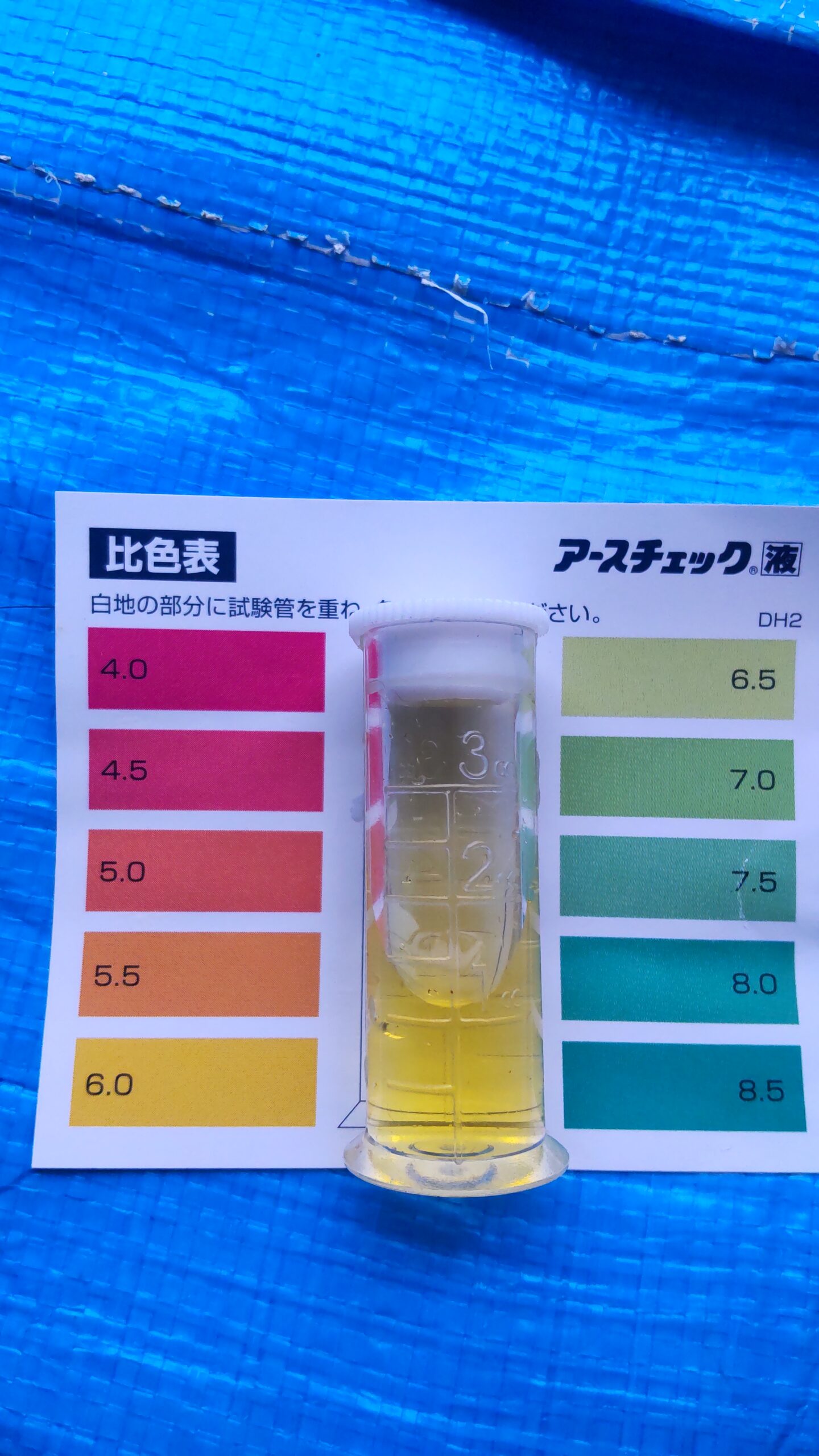 雨のph確認