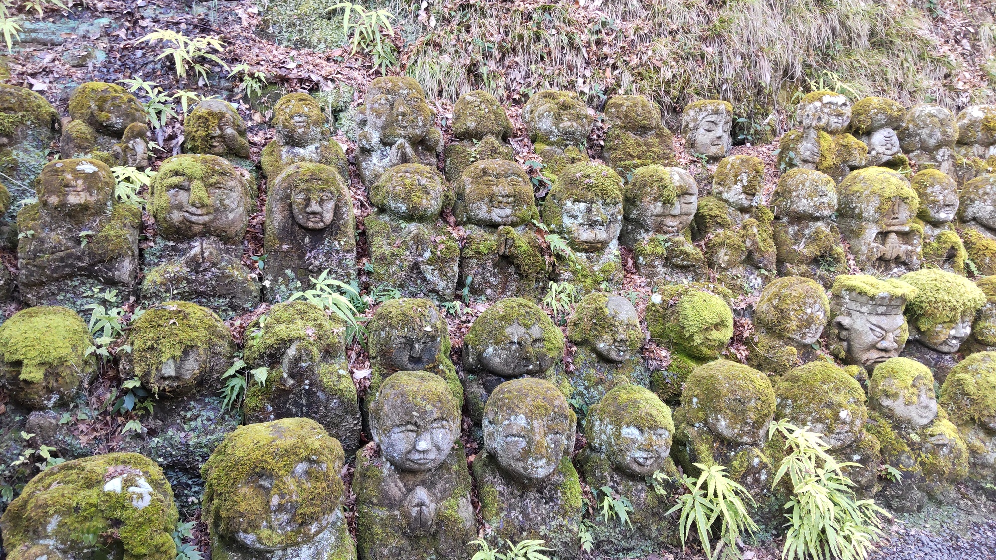 愛宕念仏寺の羅漢像1