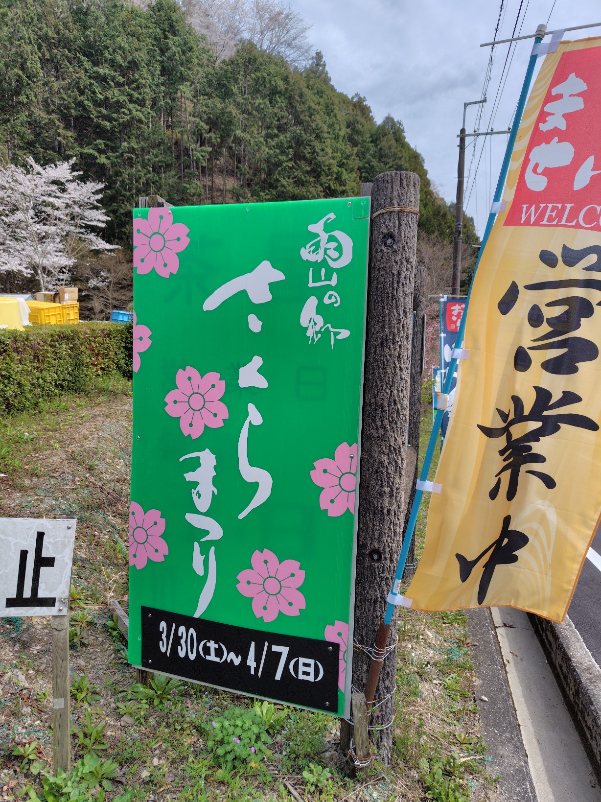雨山の郷のさくらまつり