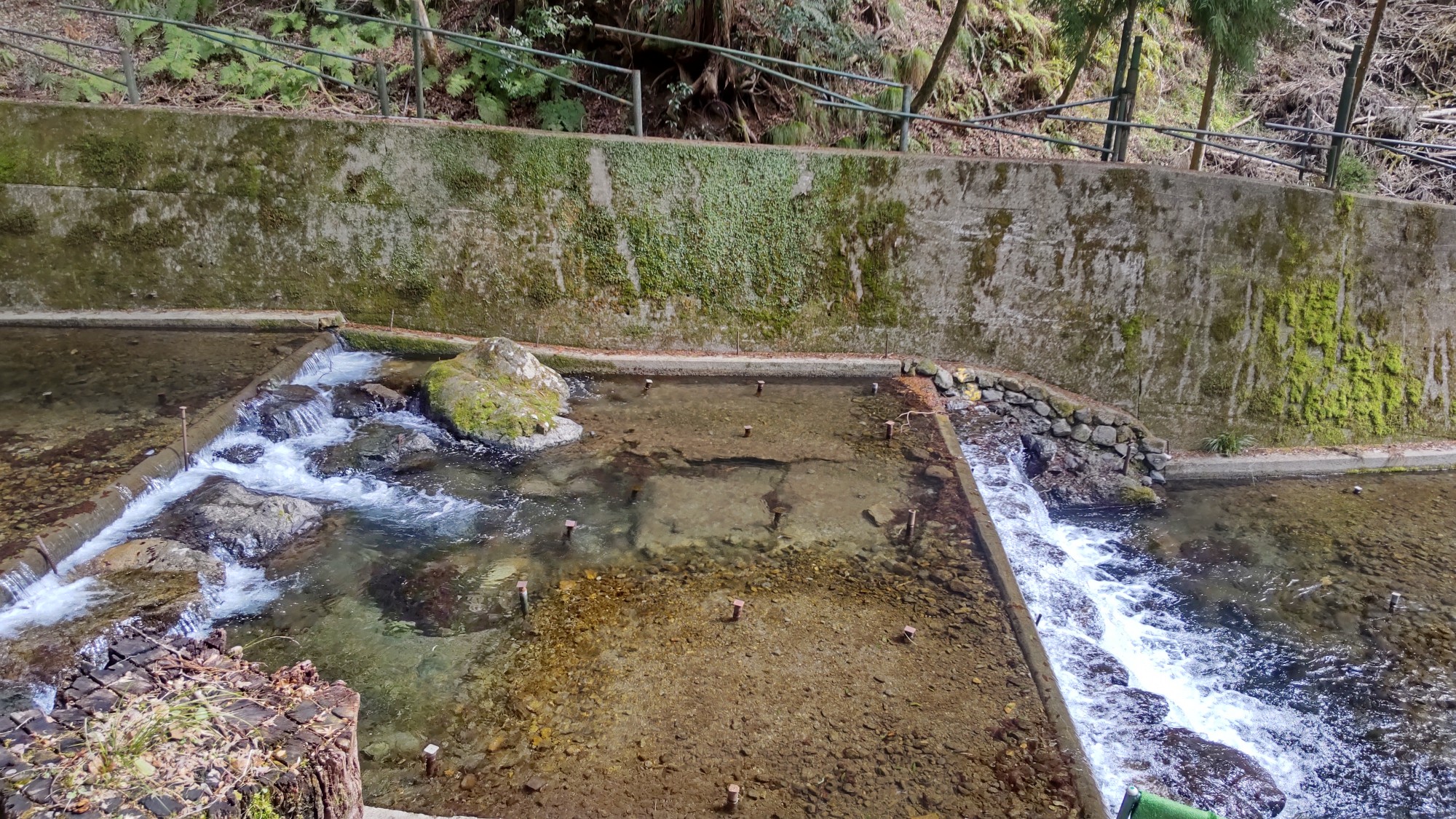貴船川の川床