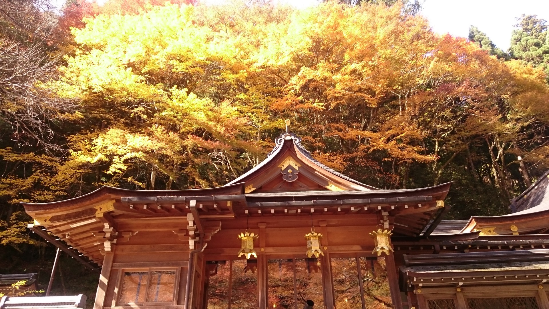 秋の貴船神社の写真3