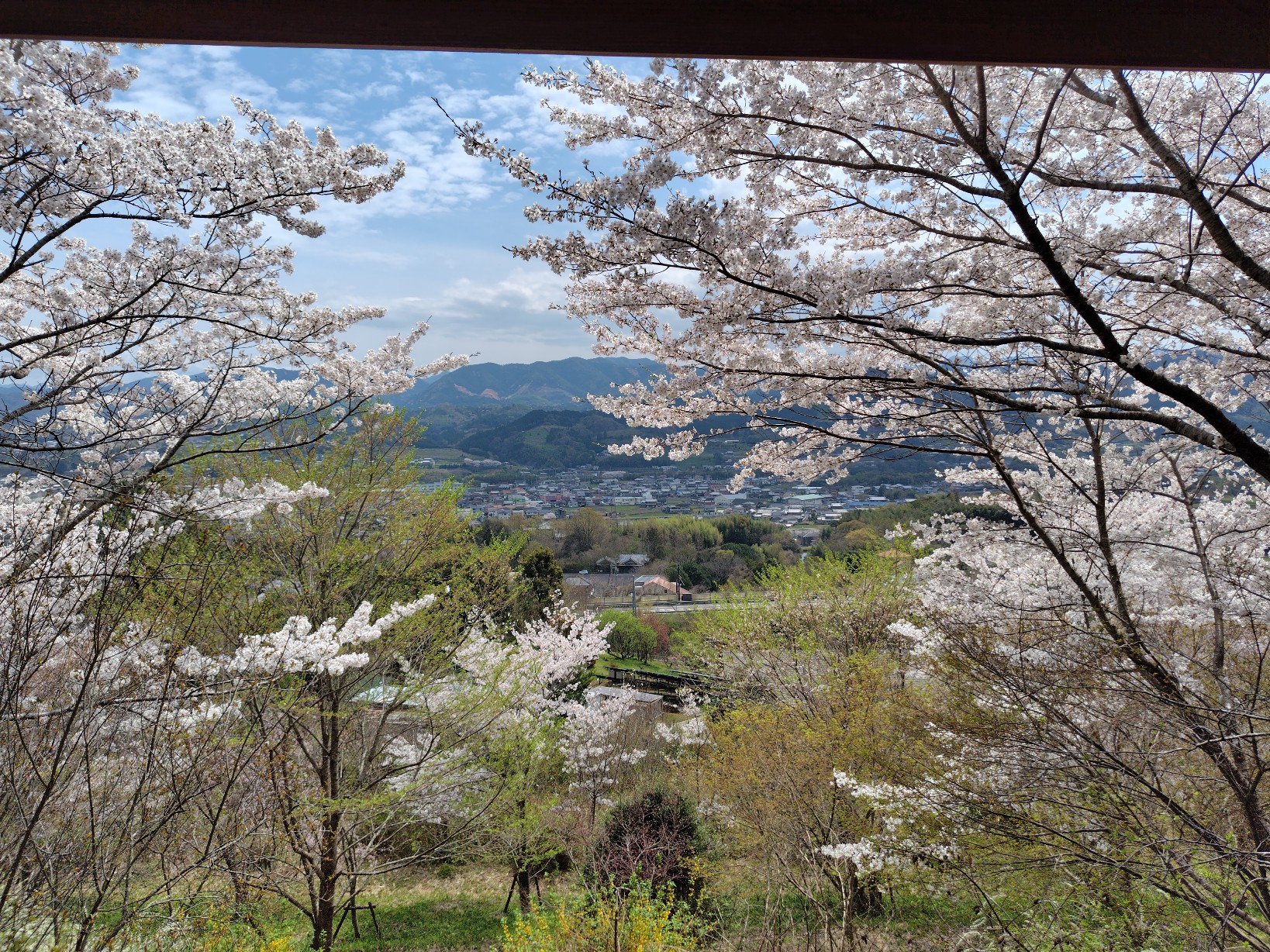 丸高稲荷神社頂上境内からの景色