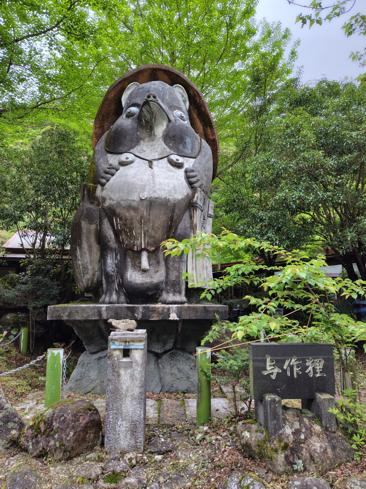 白龍湖の与作狸