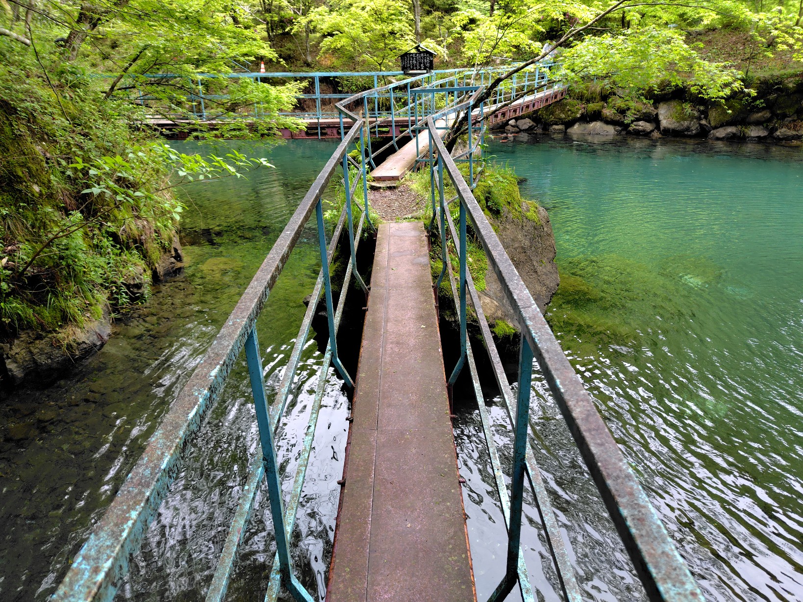 橋からの眺め