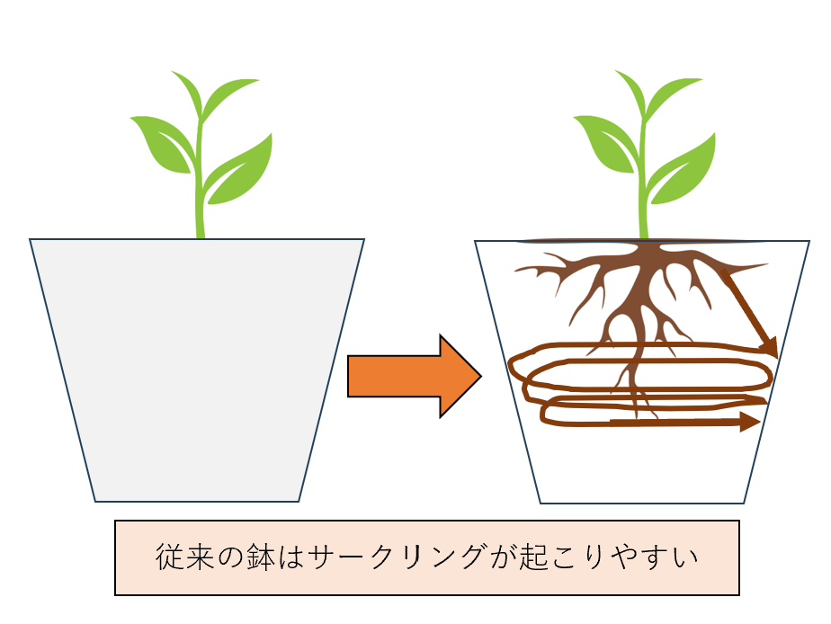 鉢内部のサークリング現象の図解