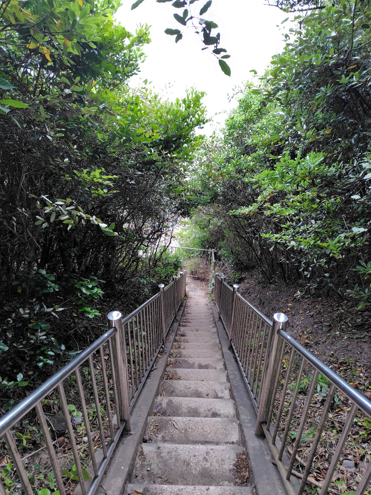 深山砲台跡の海に続く道