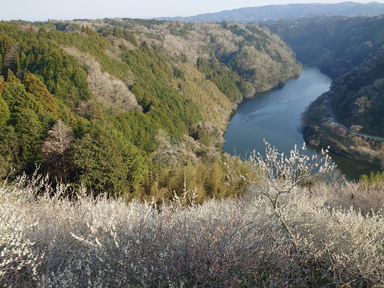 一目八景の景色