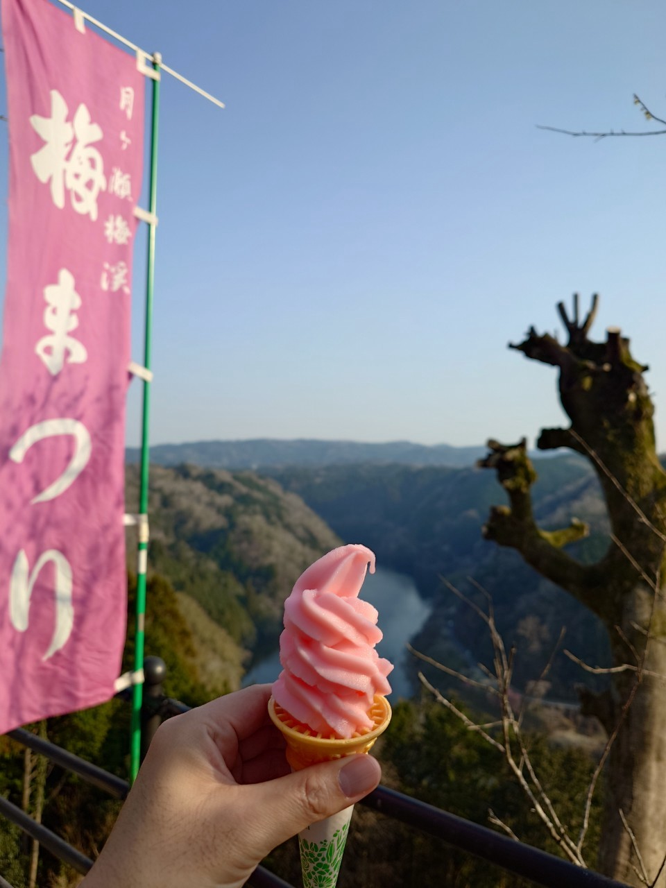 月ケ瀬の梅ソフトクリーム