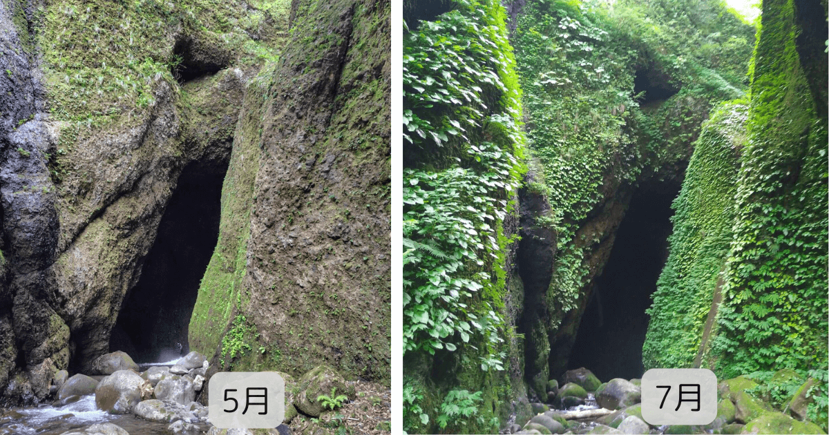 シワガラの滝周辺の景色の変化1