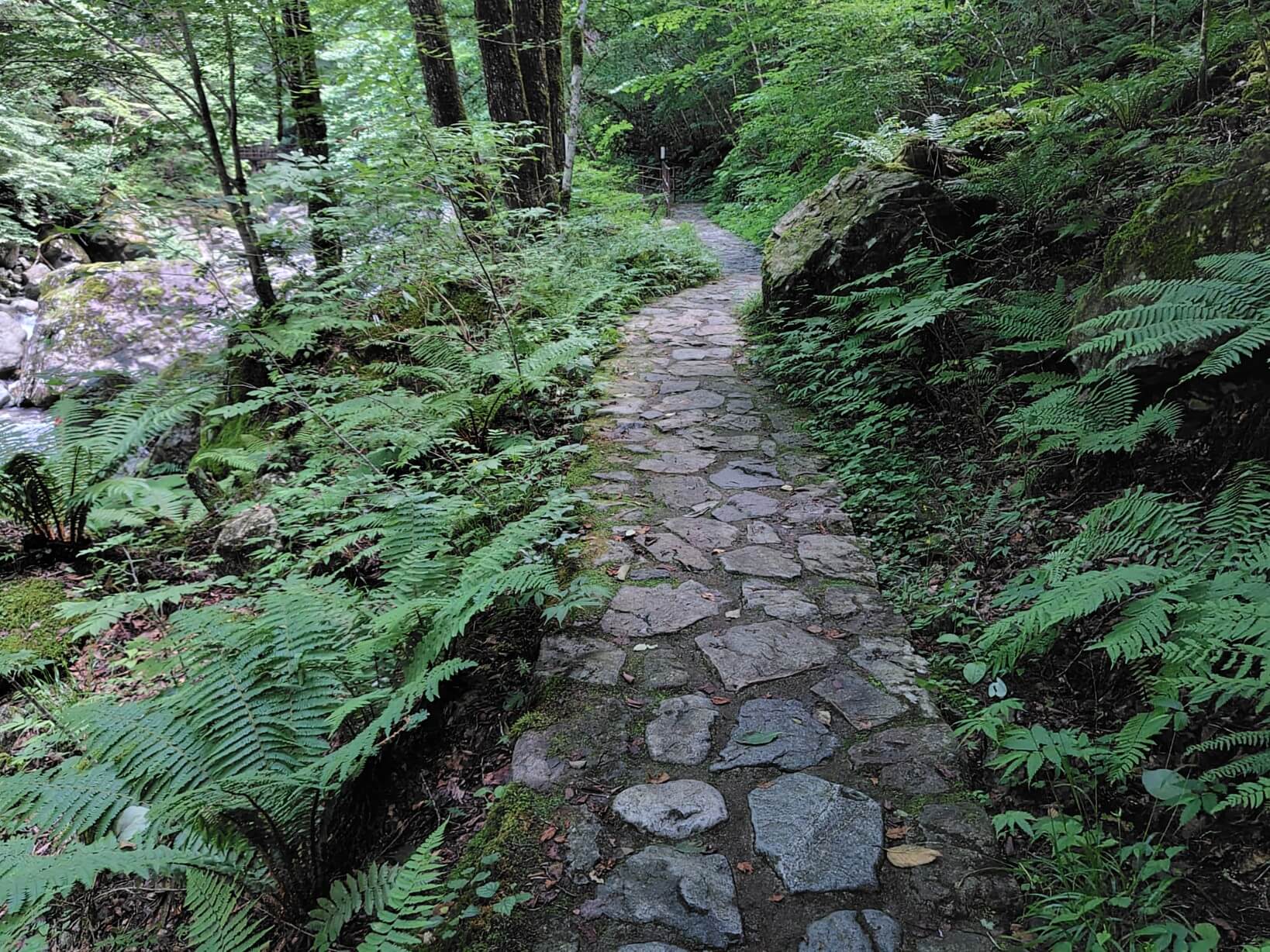 がんだて公園の遊歩道2