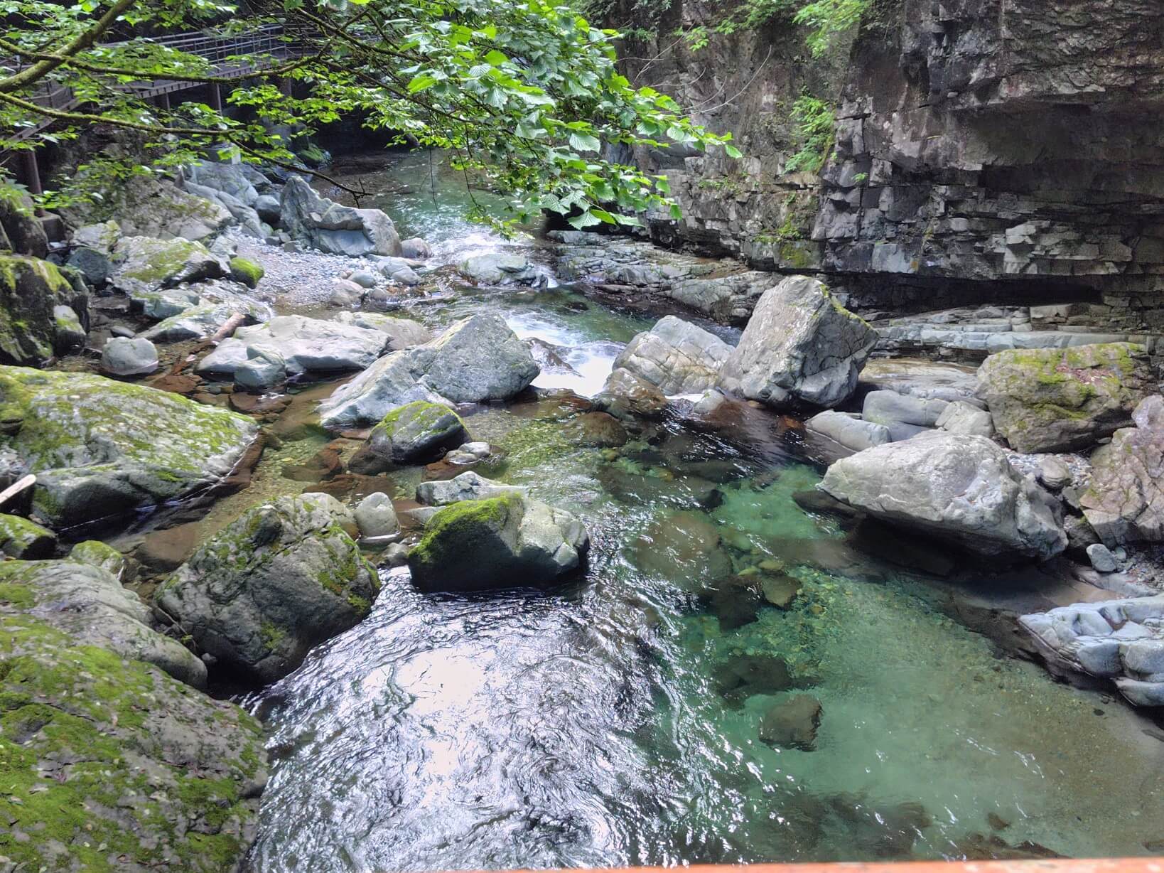たきみ橋からの景色