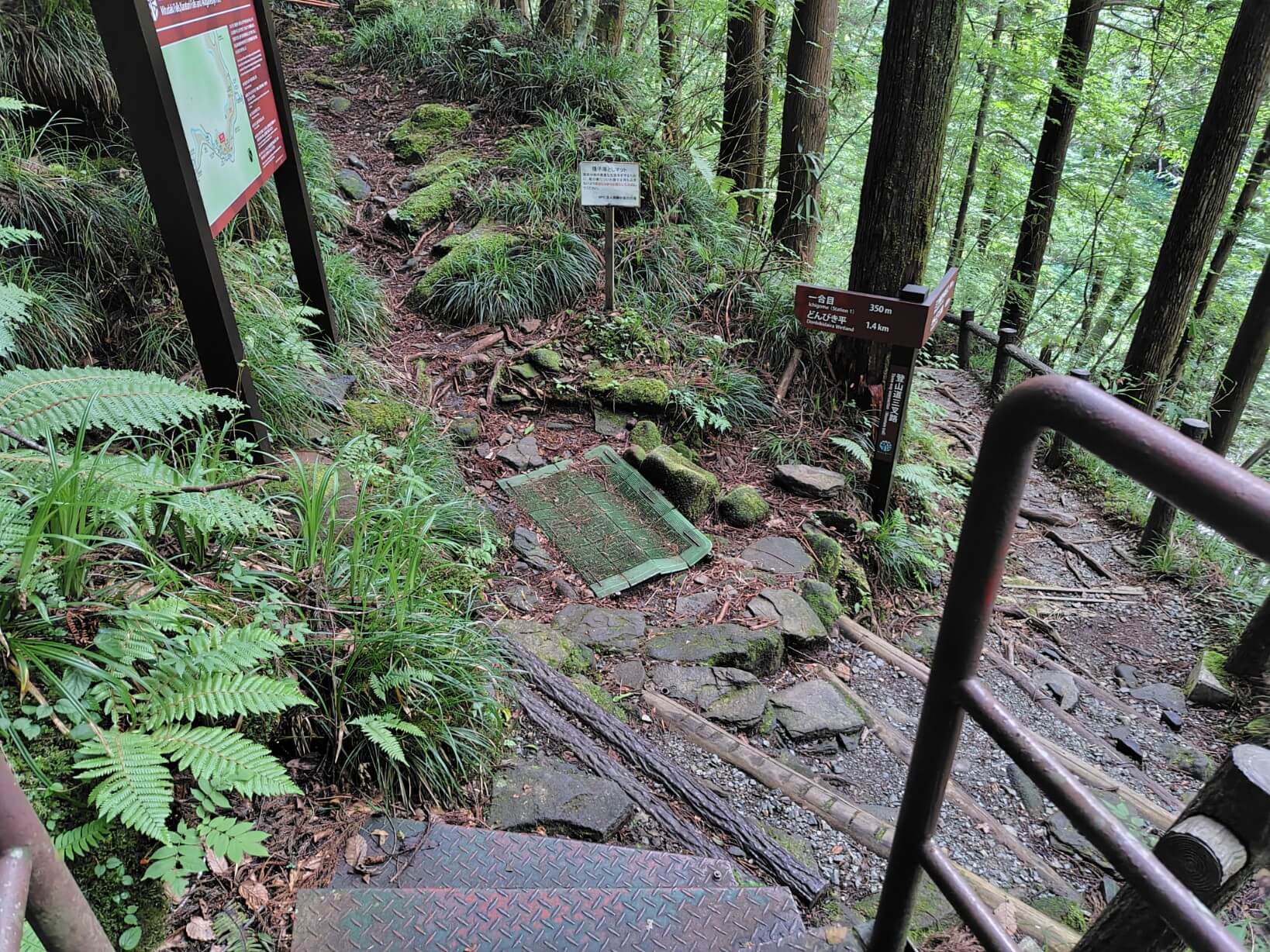 遊歩道の終点