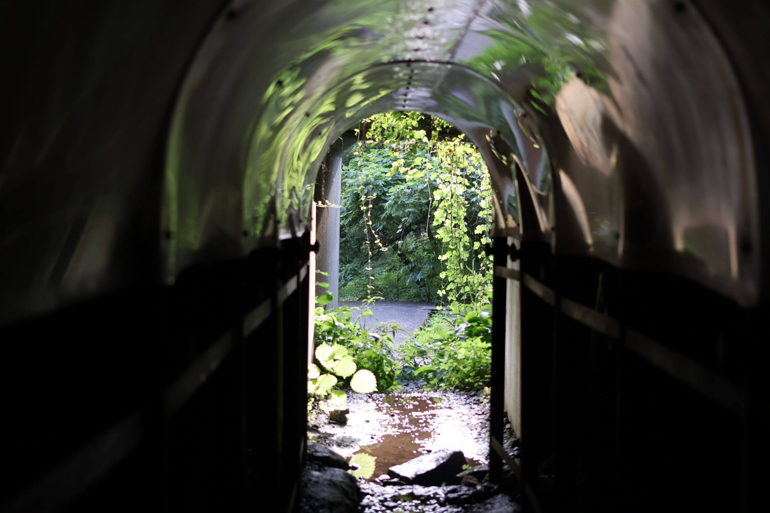 西野水道の出口
