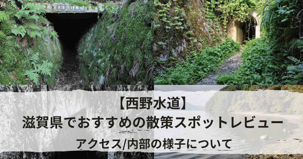 怖いと噂のある西野水道のレビュー