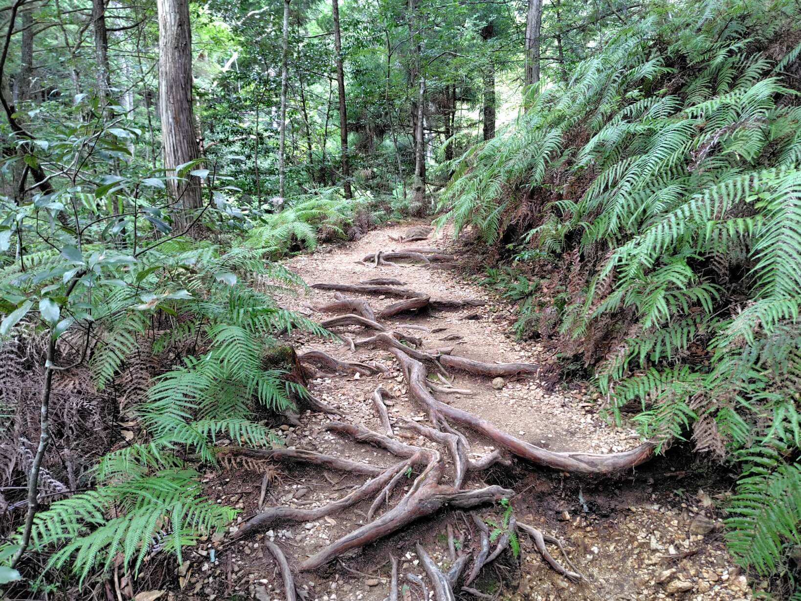 乳岩峡の登山コース