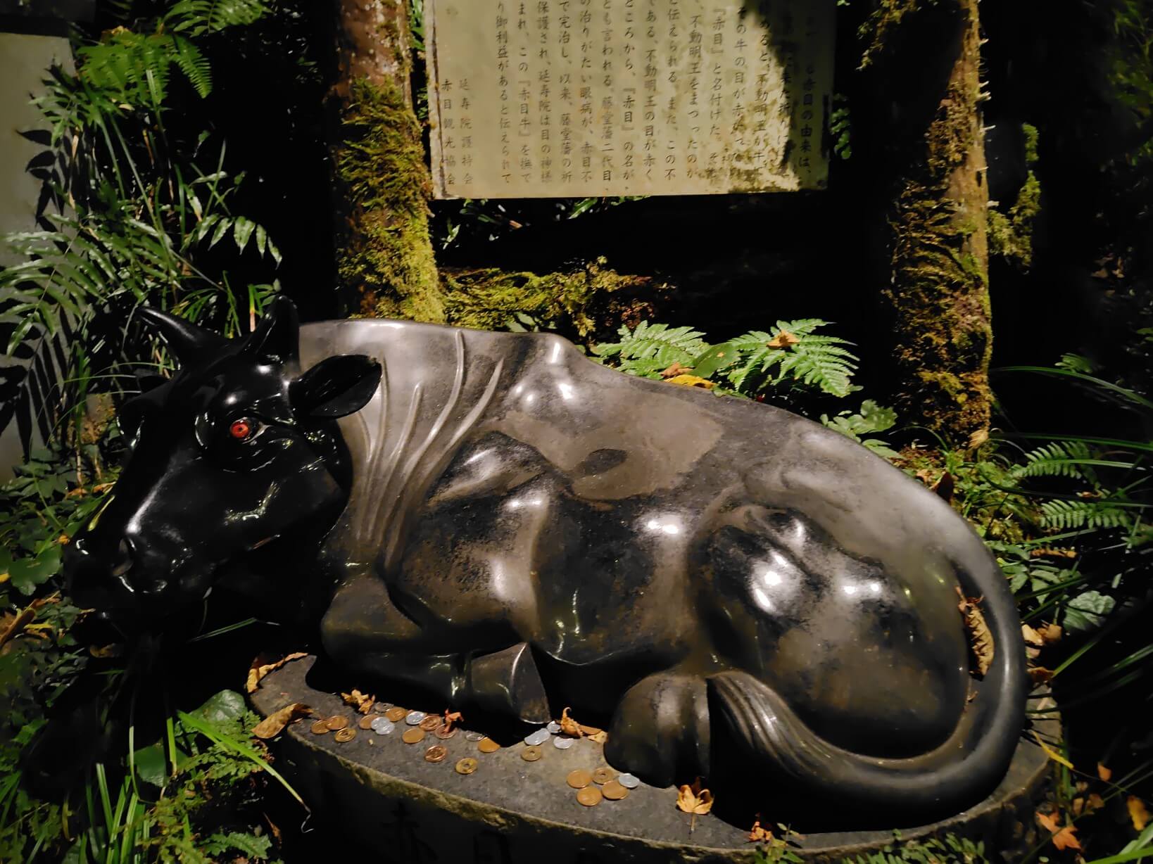 赤目の由来となった赤目牛