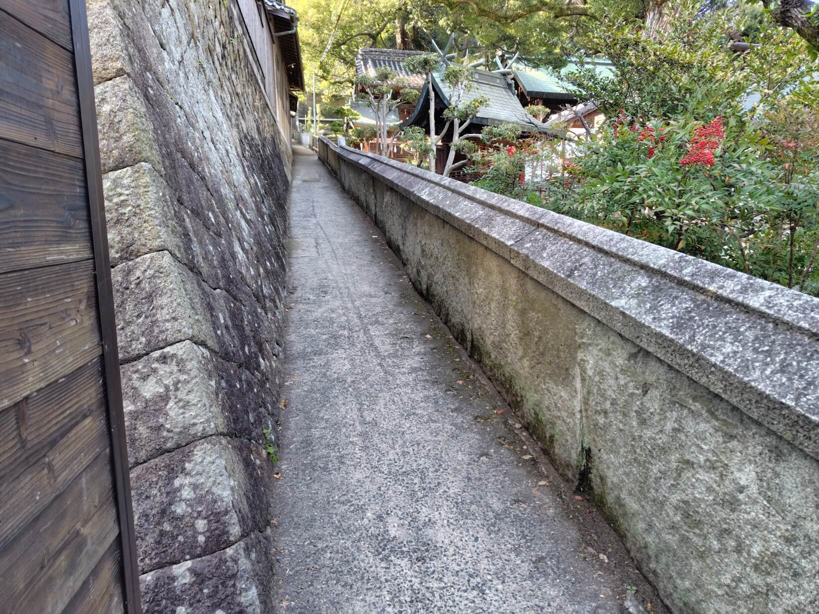艮神社脇から猫の細道へ