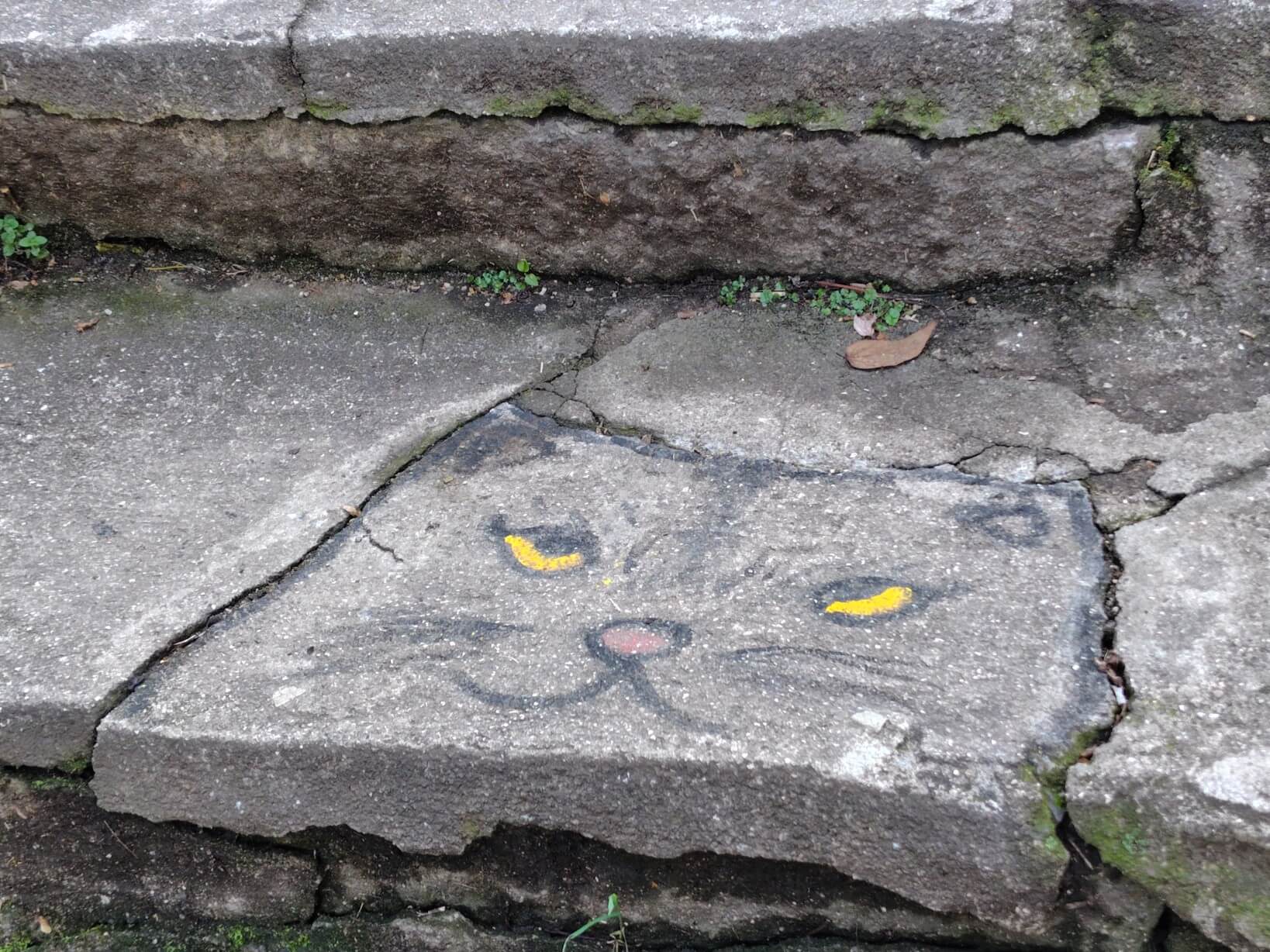 猫の細道の階段