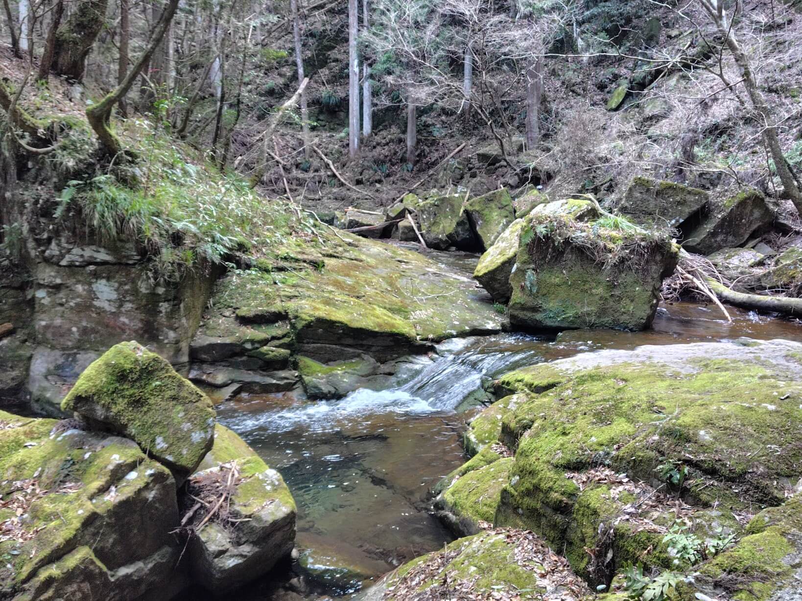 龍鎮神社道中の様子