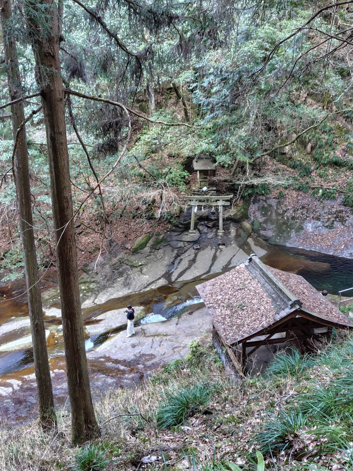 眼下に見える龍鎮神社