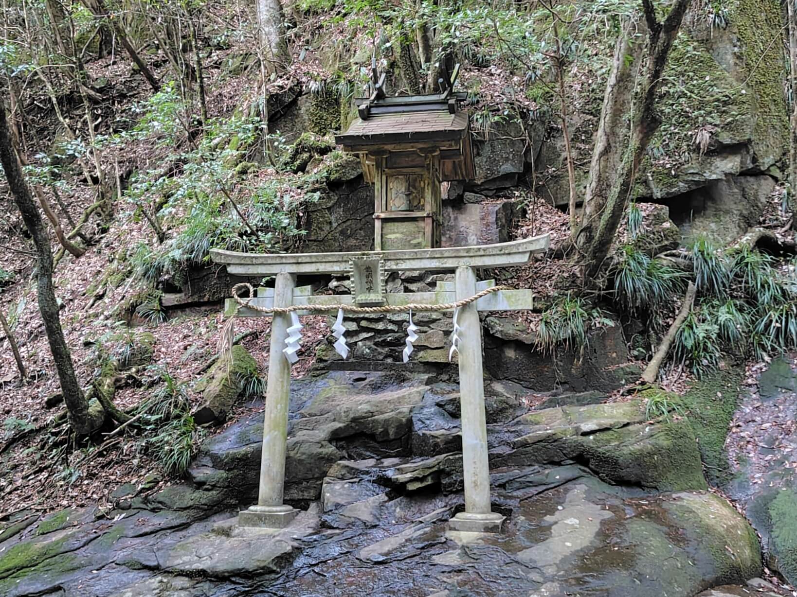 龍鎮神社拝殿から撮った写真