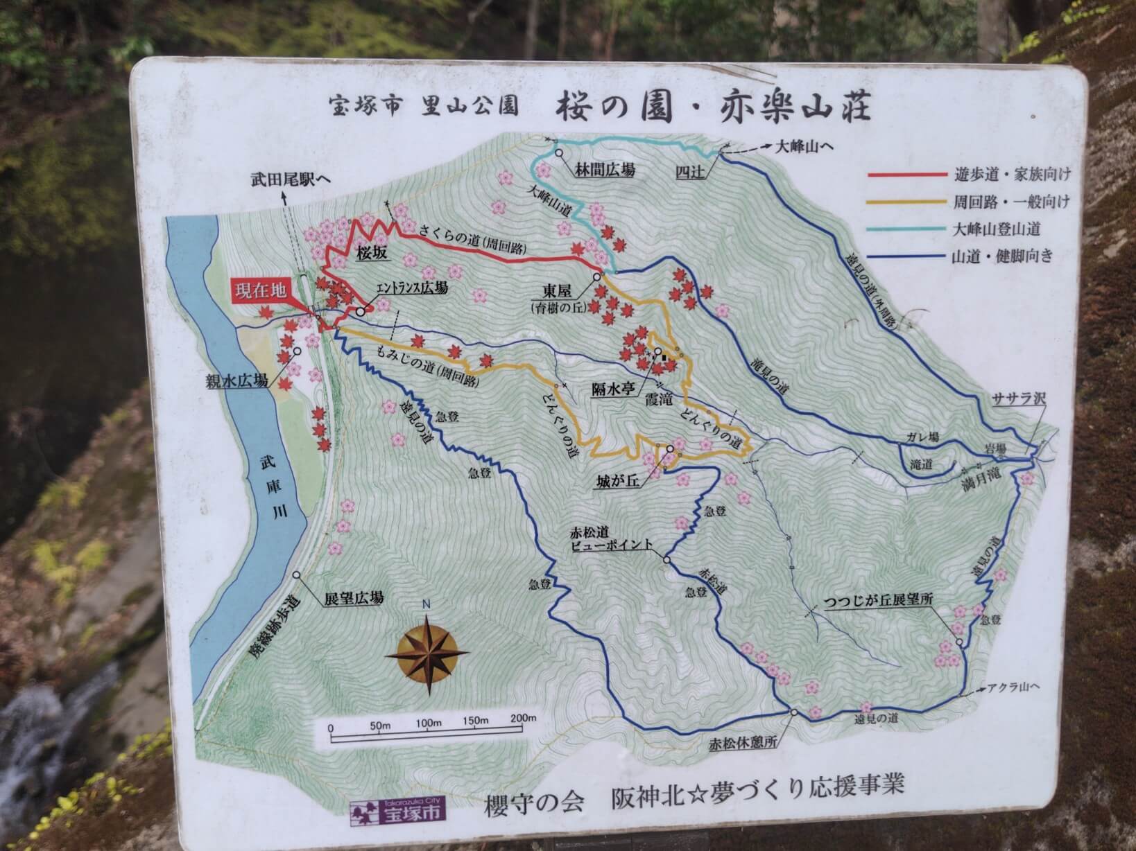 廃線敷とは違う方向にある桜坂