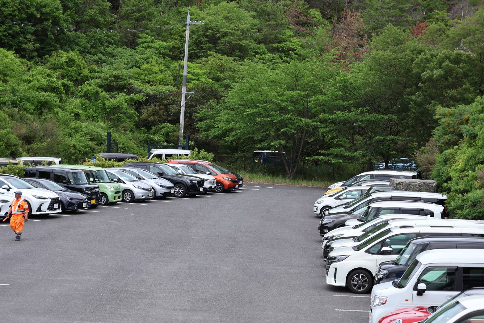 デビットオースチンロージスの駐車場