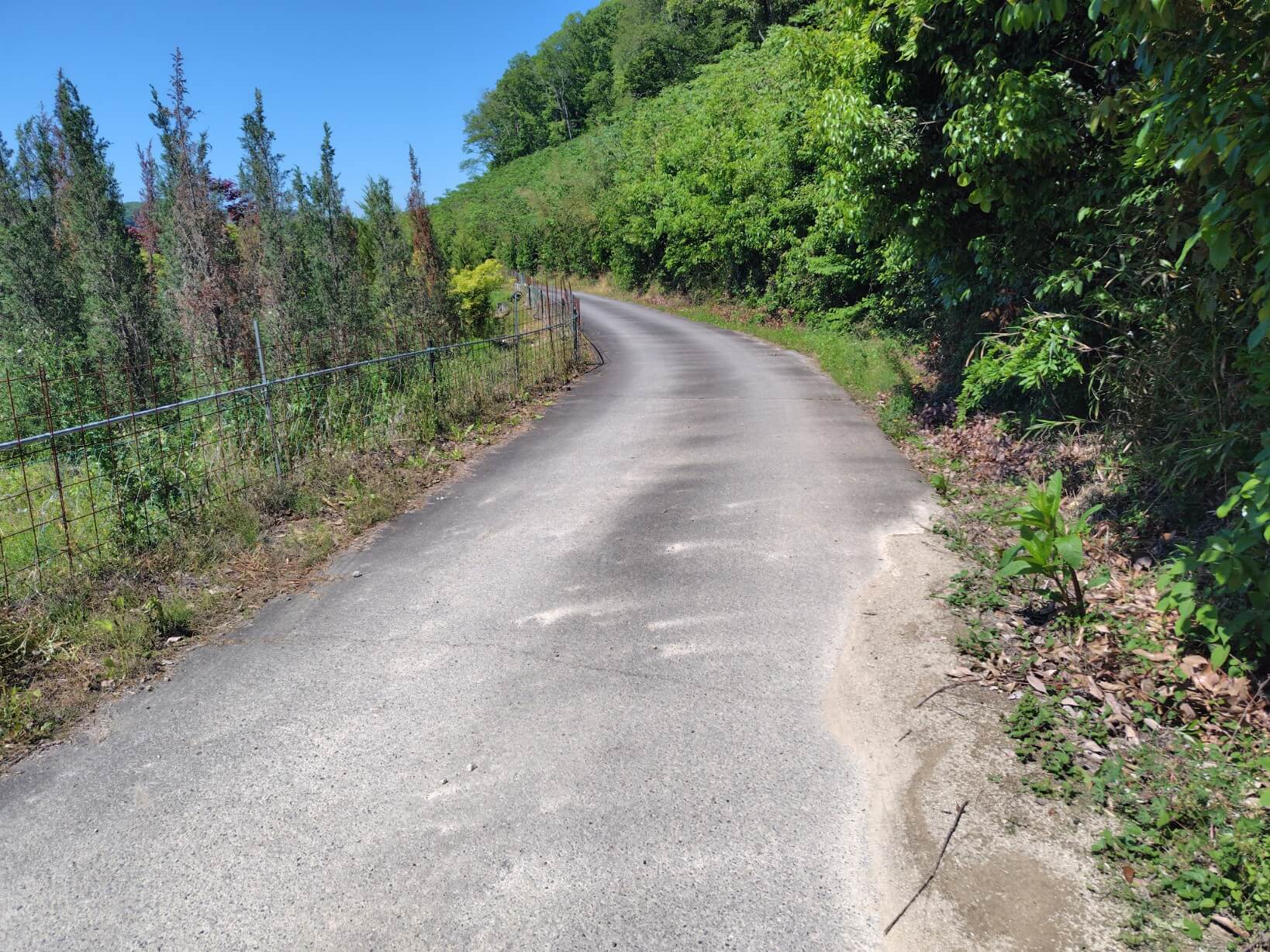 勝雄不動滝の駐車場までの道