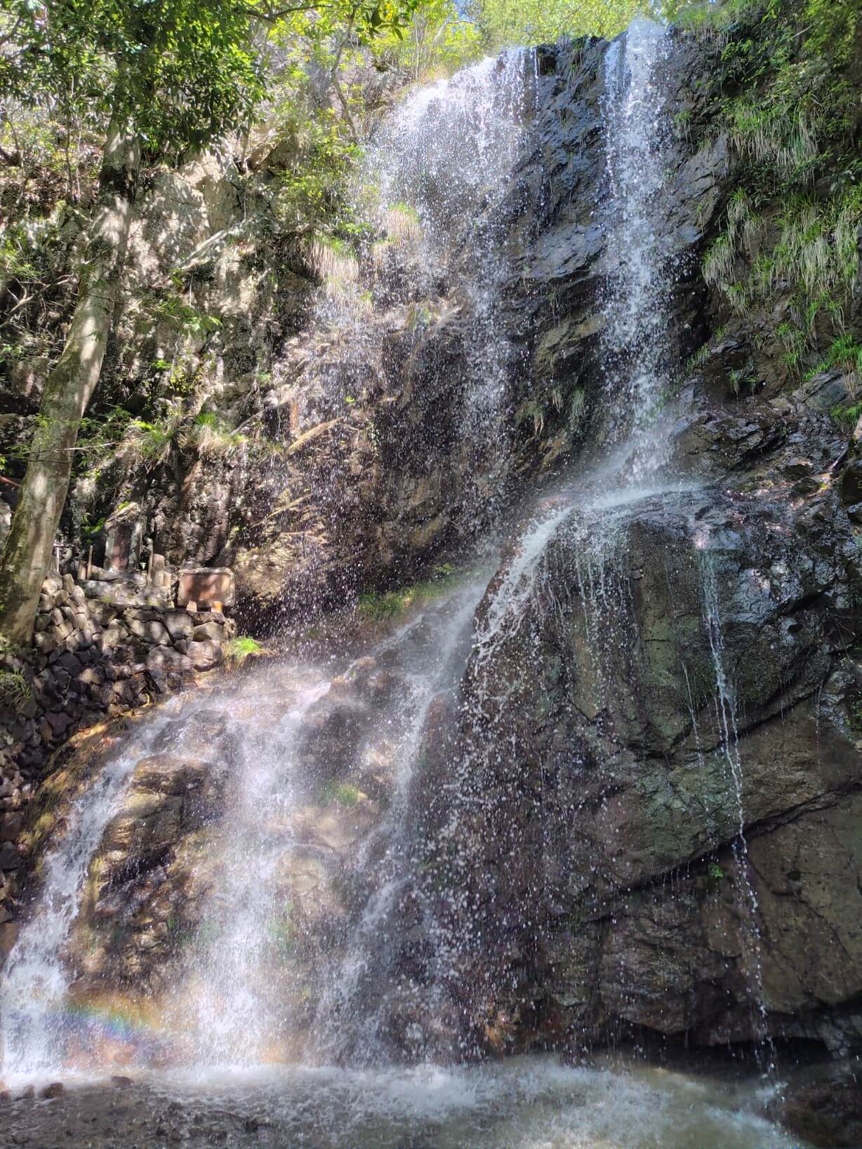 勝雄不動滝の水量と虹