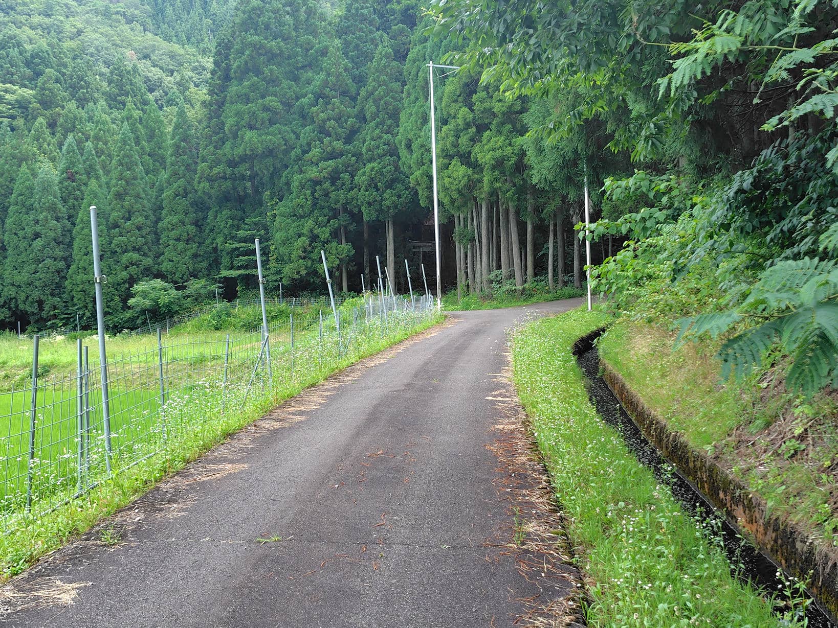 大矢谷 白山神社までの道のり
