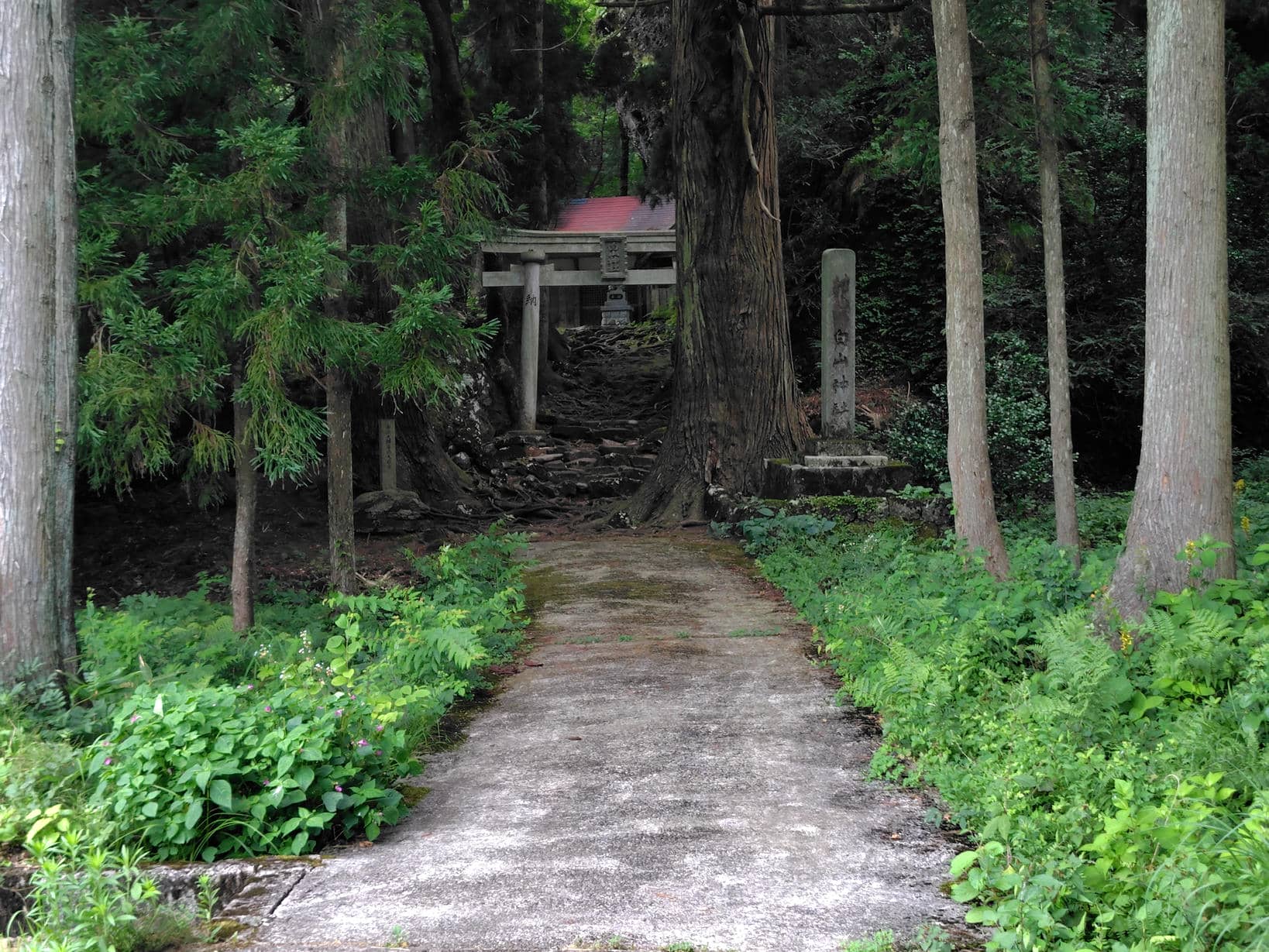 大矢谷 白山神社の鳥居