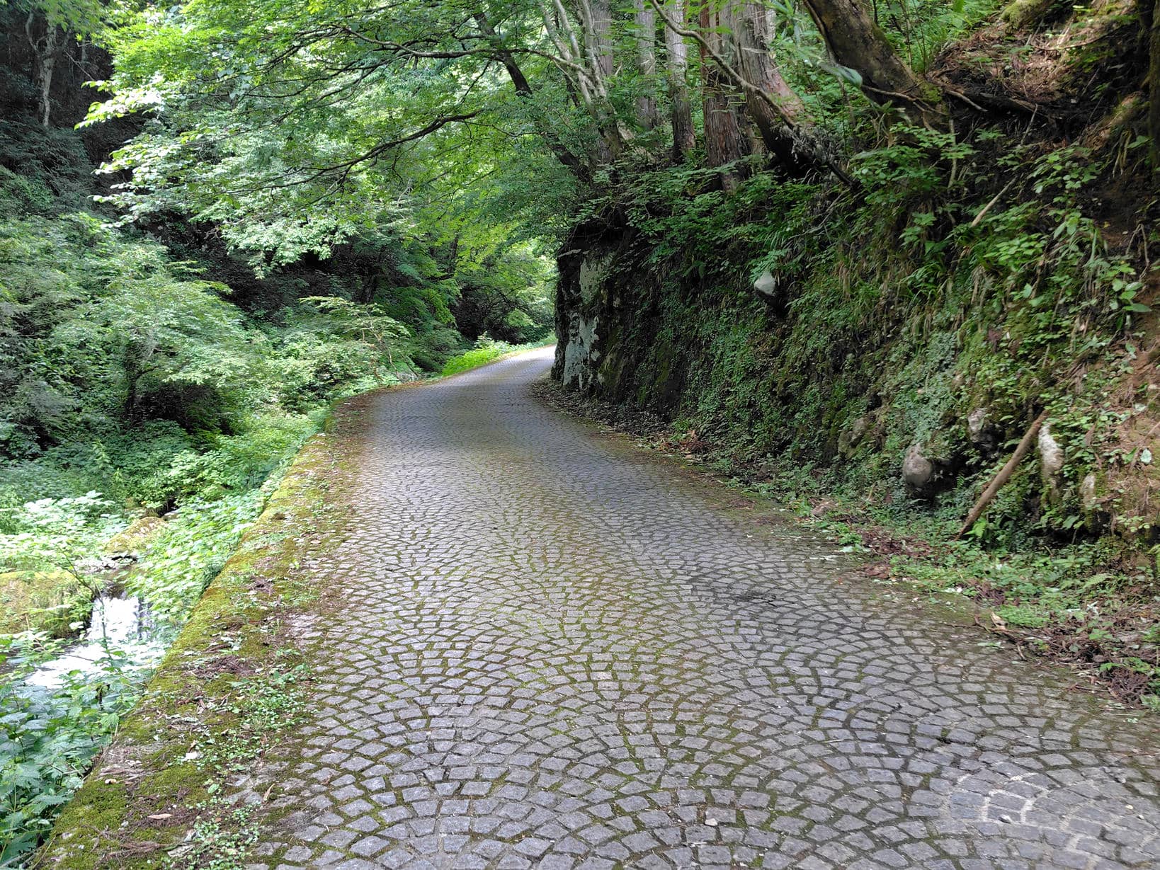 龍双ヶ滝の遊歩道。第2駐車場へ続く道でもある。