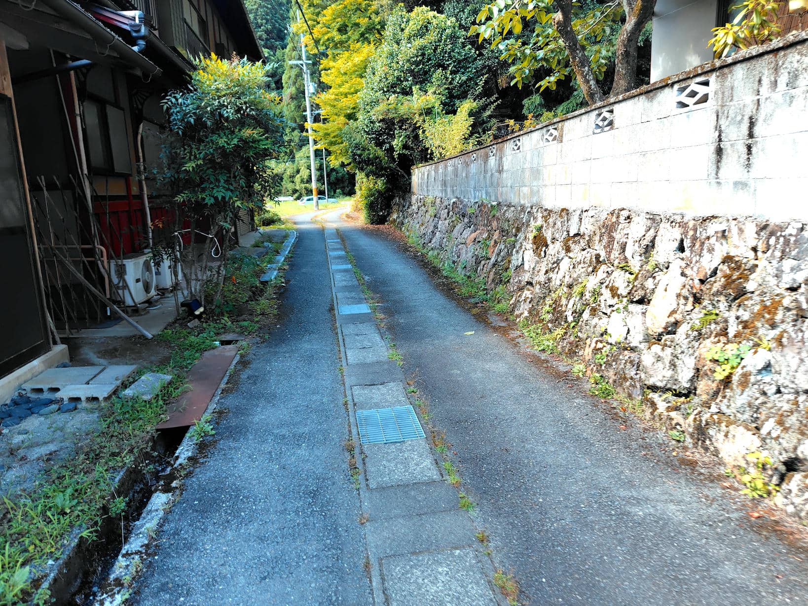 滝又の滝道中①